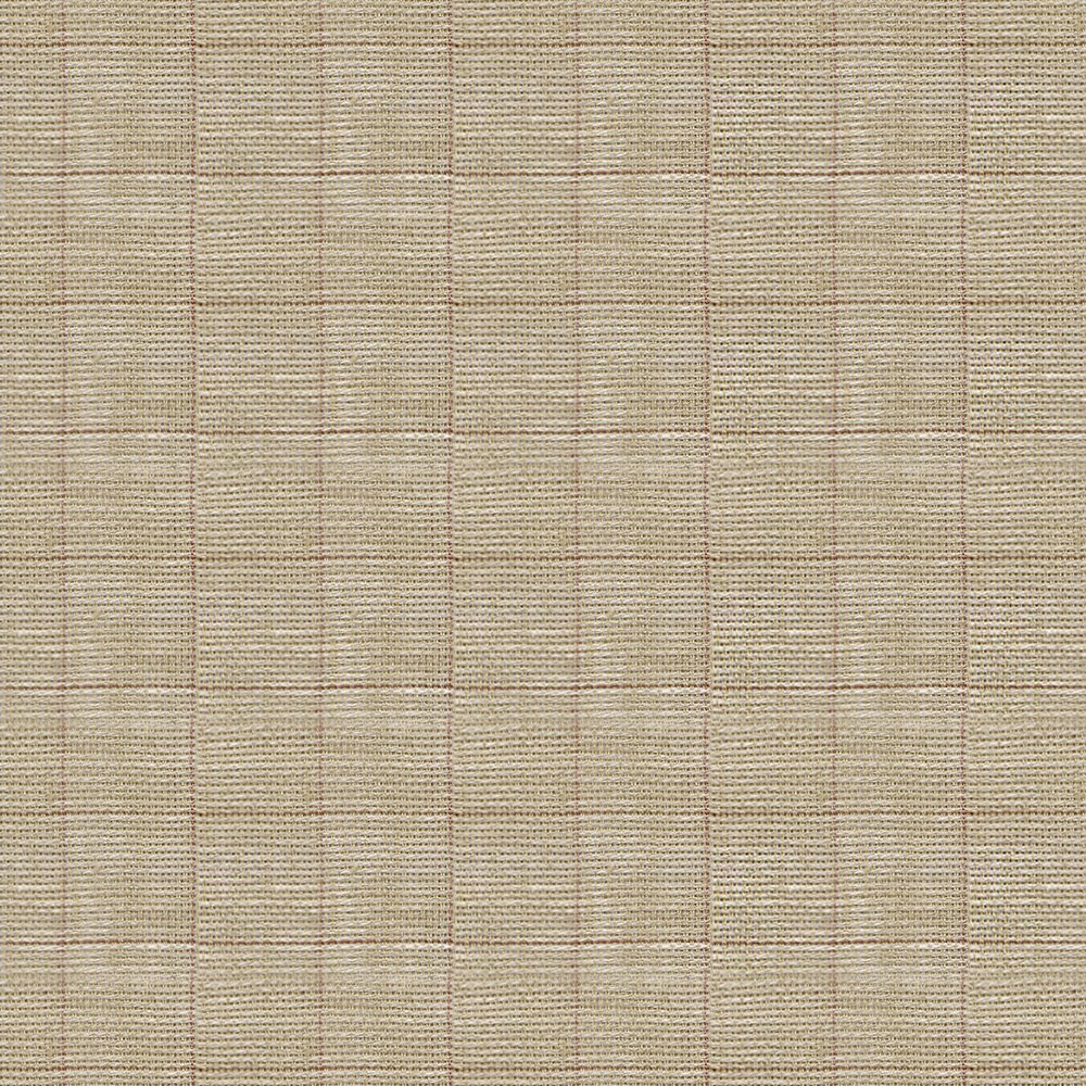 Beige Check 